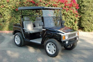 affordable golf cart rental, golf cart rent corona